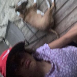 Meet your Posher, Cami